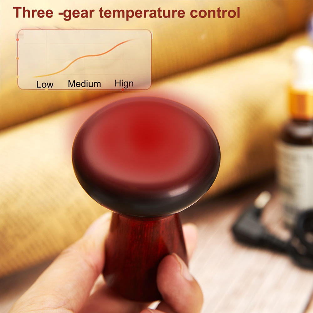 HexoGlow™ – Hete Bian Steen Gezichtsmassager